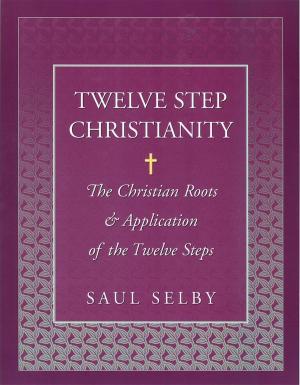 Cover of the book Twelve Step Christianity by Earnie Larsen, Carol Larsen Hegarty