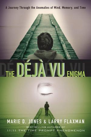 Book cover of The Déjà vu Enigma