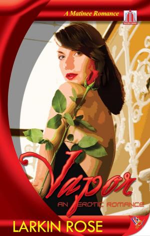 Cover of the book Vapor by Yolanda Wallace