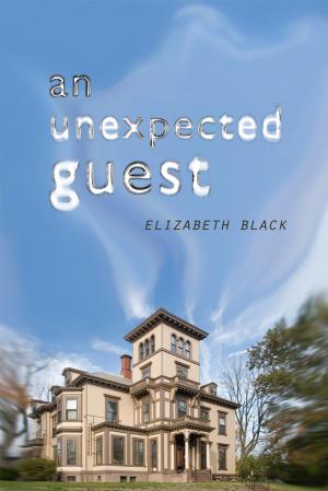 Book cover of An Unexpected Guest