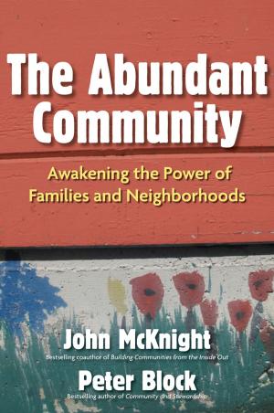 Cover of the book The Abundant Community by Frederick A. Miller, Judith H. Katz