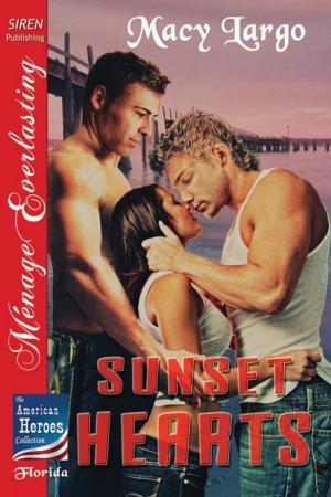 Cover of the book Sunset Hearts by Cara Adams