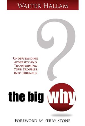 Cover of Big WHY