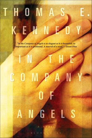 Cover of the book In the Company of Angels by Martin J. Smith