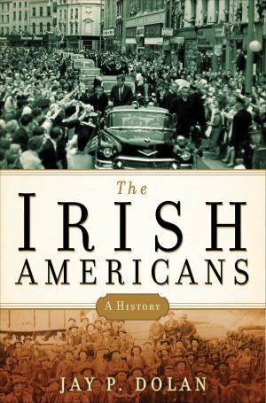 Cover of the book The Irish Americans by Steve Blake