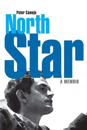 Cover of the book North Star by Noam Chomsky