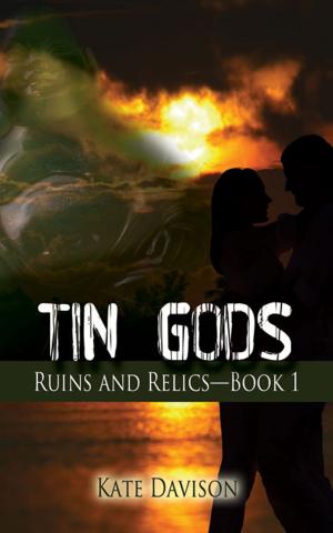 Cover of the book Tin Gods by Barb Warner Deane