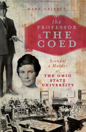 Cover of the book The Professor & the Coed by Stephen Kimber