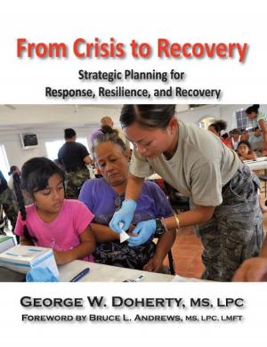 Cover of the book From Crisis to Recovery by Alfredo Zotti