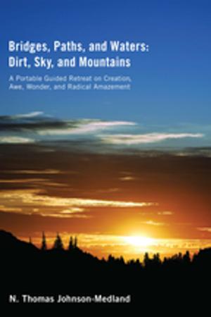 Book cover of Bridges, Paths, and Waters; Dirt, Sky, and Mountains