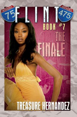 Cover of the book Flint Book 7: by E.N. Joy