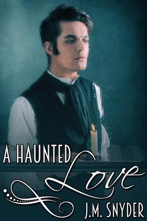 Cover of the book A Haunted Love by Nanisi Barrett D'Arnuk