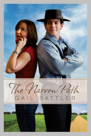 Cover of the book The Narrow Path by Vannetta Chapman