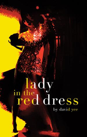 Cover of the book lady in the red dress by Colleen Murphy