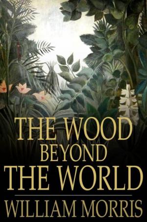 Cover of the book The Wood Beyond the World by Frances Hodgson Burnett