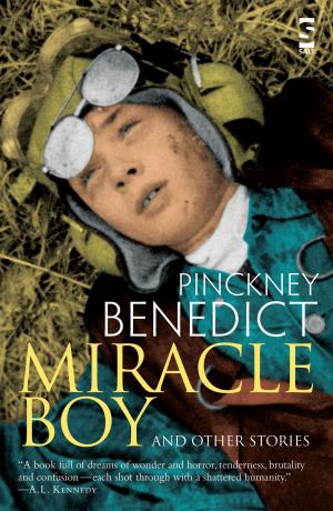 Cover of the book Miracle Boy and Other Stories by Steve Haynes