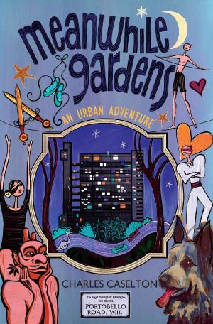 Cover of the book Meanwhile Gardens by Brian Donnelly