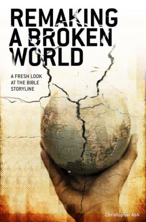 Cover of the book Remaking a Broken World by David Bebbington