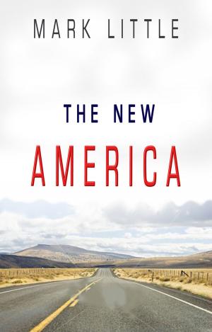 Cover of the book The New America by Richard Downes