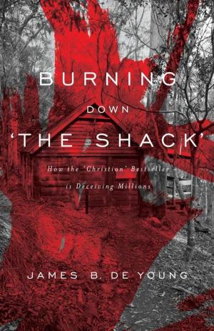 Cover of the book Burning Down 'The Shack': How the 'Christian' bestseller is deceiving millions by Sir Walter Scott, David Purdie