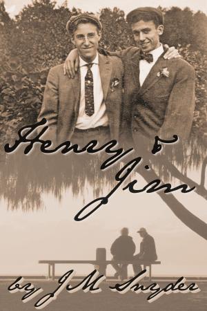 Cover of the book Henry and Jim by Tessa Frank