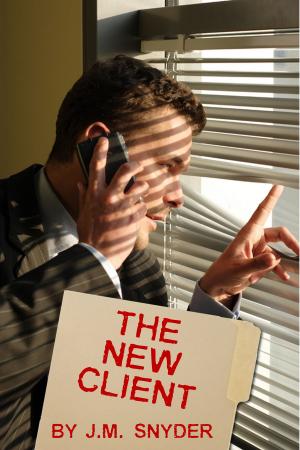 Cover of the book The New Client by Shawn Lane