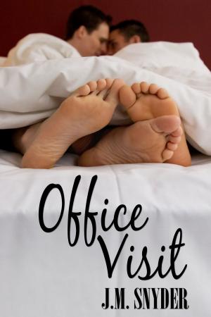 Cover of the book Office Visit by Matthew Robbins