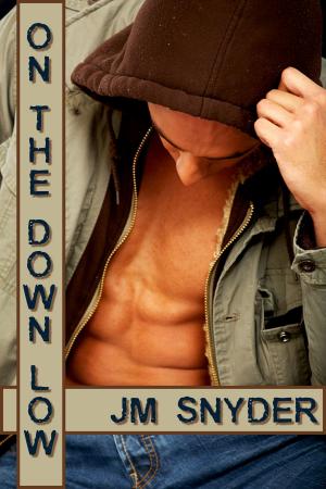 Cover of the book On the Down Low by Maya Anders