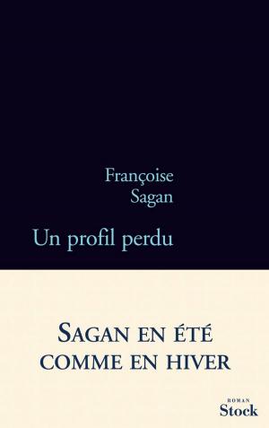 Cover of the book Un profil perdu by Luc Lang