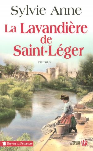 Cover of the book La lavandière de Saint-Léger by David SAFIER