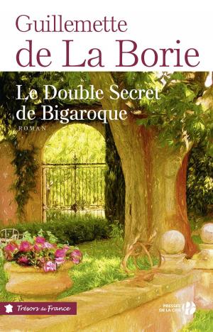 Cover of the book Le Double Secret de Bigaroque by Raine MILLER