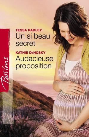 Book cover of Un si beau secret - Audacieuse proposition (Harlequin Passions)