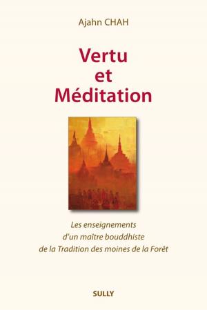 Cover of the book Vertu et méditation by 聖嚴教育基金會學術研究部