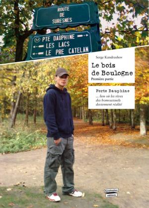 Cover of the book Le bois de Boulogne (roman gay) by Nephy Hart