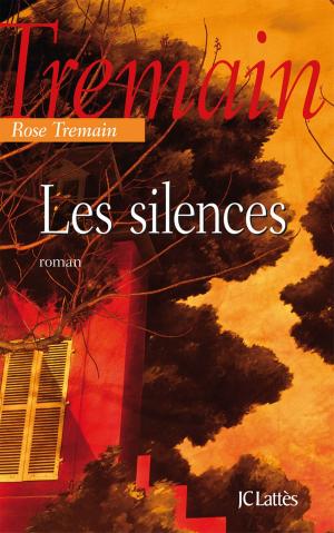 Book cover of Les silences