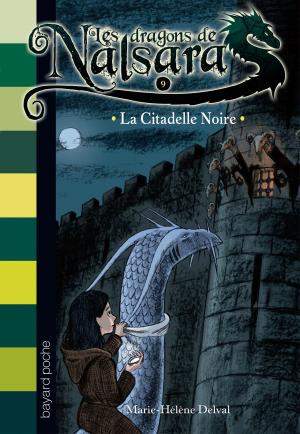 Cover of the book Les dragons de Nalsara, Tome 9 by Joseph Delanay