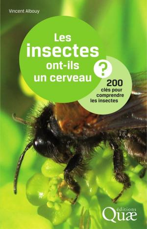 Cover of the book Les insectes ont-ils un cerveau ? by Pierre Detienne