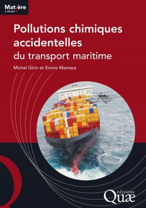Cover of the book Pollutions chimiques accidentelles du transport maritime by Pascale Legué Dupont