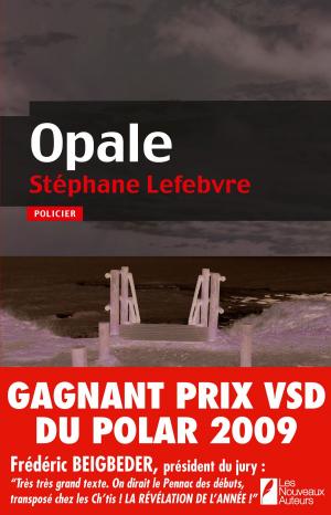 Cover of the book Opale by Stephanie Tourles