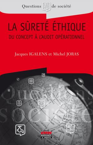 Cover of the book La sûreté éthique by Michel BARABEL
