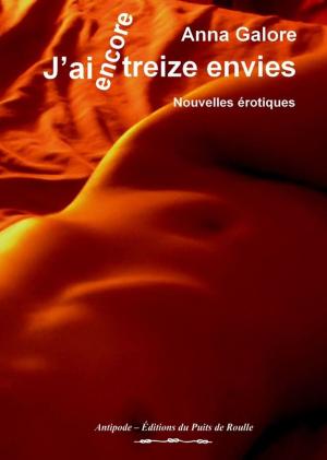 Cover of the book J'ai encore treize envies by Kayleigh Malcolm