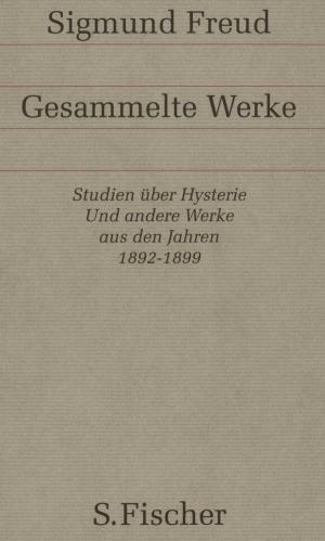 Cover of the book Werke aus den Jahren 1892-1899 by Herbert Schnädelbach