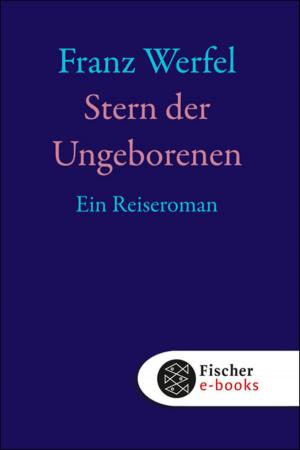 Cover of the book Stern der Ungeborenen by Dr. Josephine Chaos