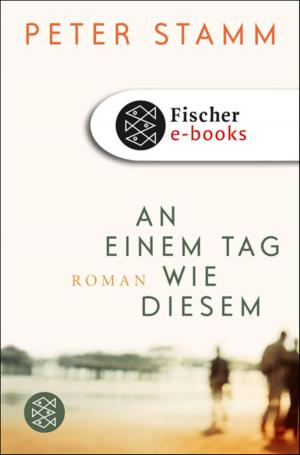 Cover of the book An einem Tag wie diesem by Michael Lentz
