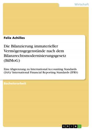 Cover of the book Die Bilanzierung immaterieller Vermögensgegenstände nach dem Bilanzrechtsmodernisierungsgesetz (BilMoG) by Lena Gorelik