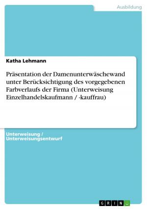 Cover of the book Präsentation der Damenunterwäschewand unter Berücksichtigung des vorgegebenen Farbverlaufs der Firma (Unterweisung Einzelhandelskaufmann / -kauffrau) by Niklas Weith