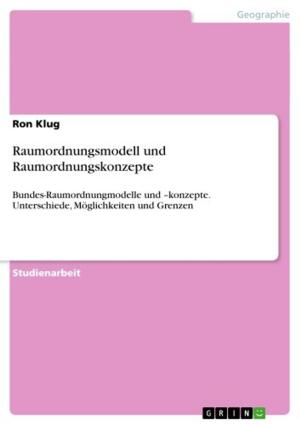 Cover of the book Raumordnungsmodell und Raumordnungskonzepte by Silvia Alpers