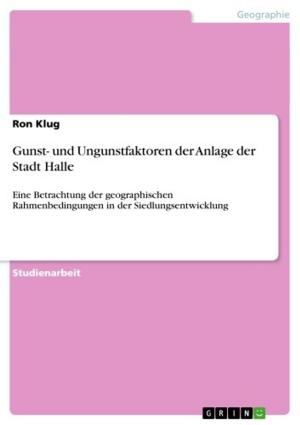 Cover of the book Gunst- und Ungunstfaktoren der Anlage der Stadt Halle by Marius Hamer