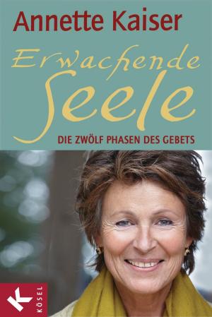 Book cover of Erwachende Seele