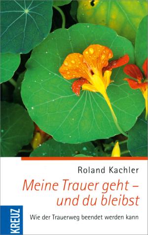 Book cover of Meine Trauer geht - und du bleibst